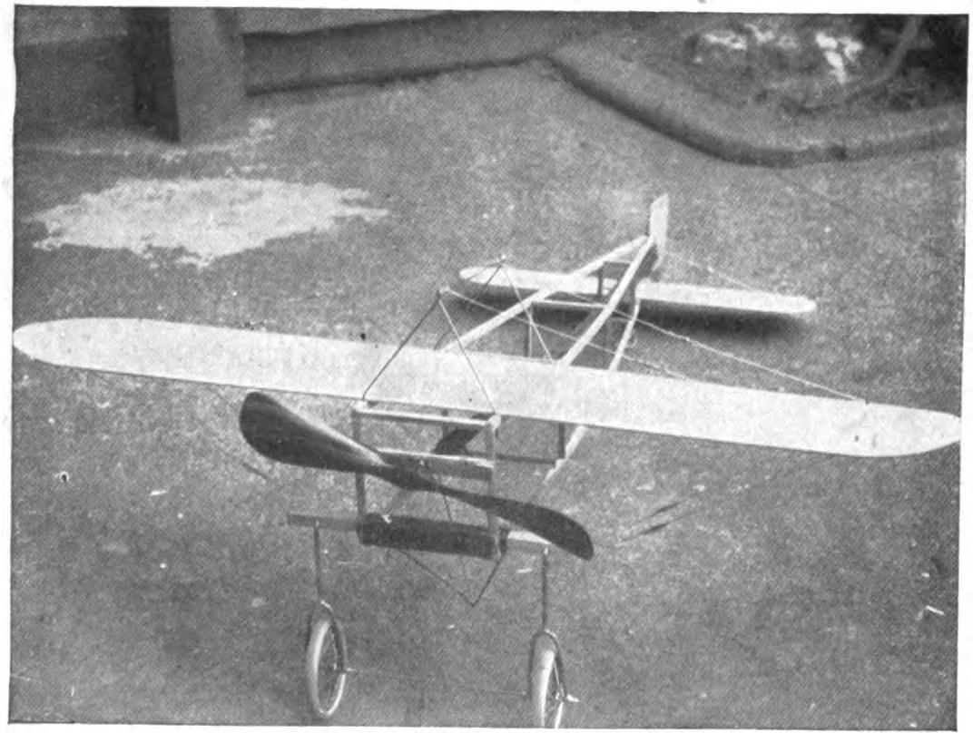 A modified Bleriot built by Cecil Peoli