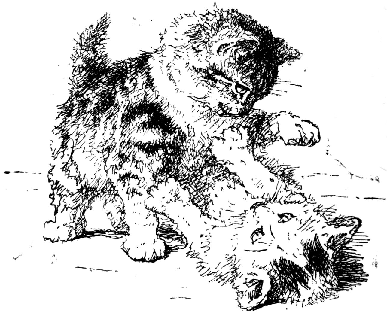 [Kittens by Madame Ronner]