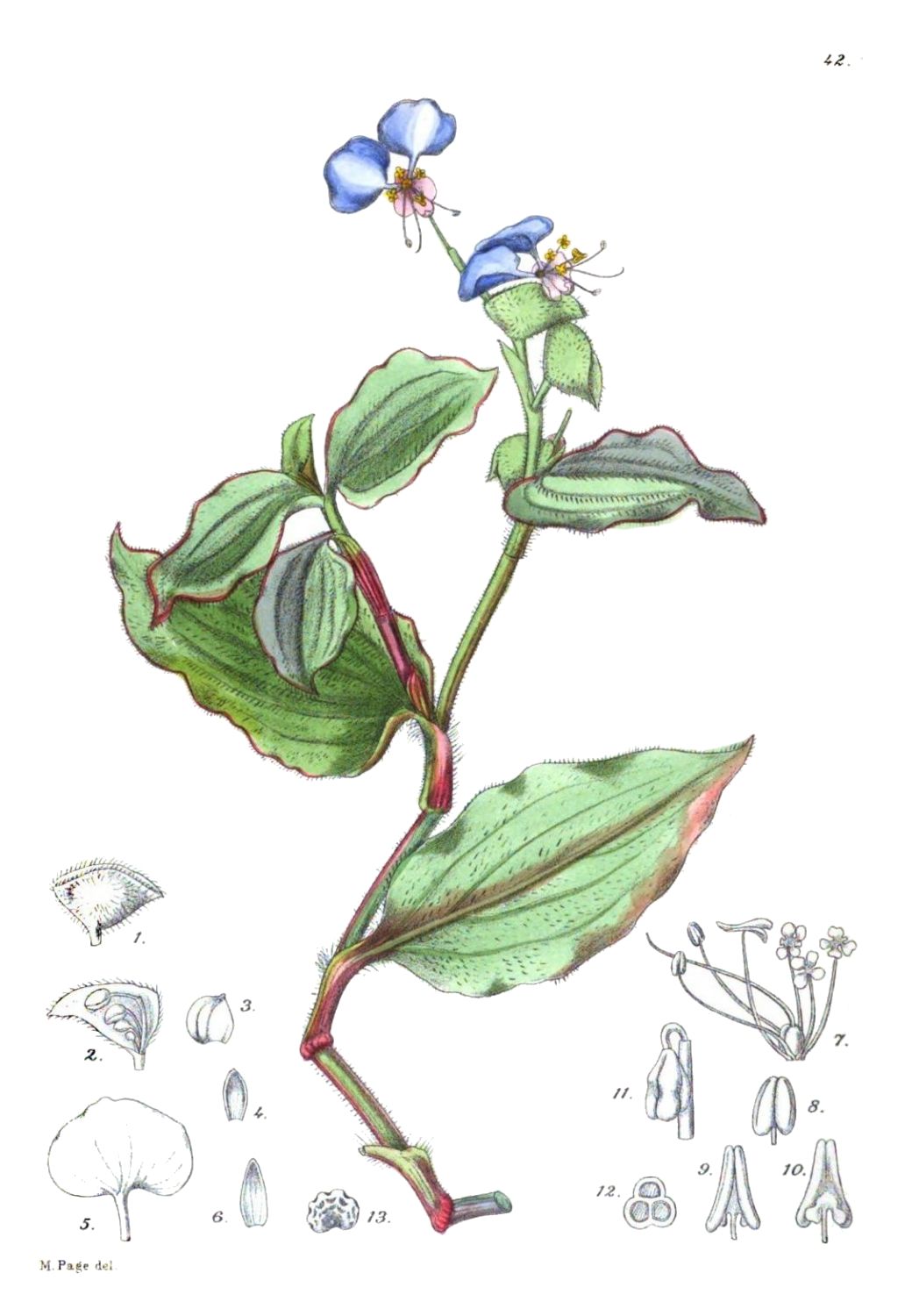 [Image unavailable.]