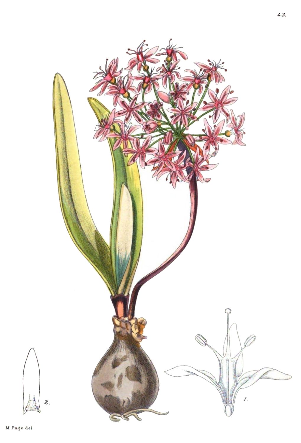 [Image unavailable.]