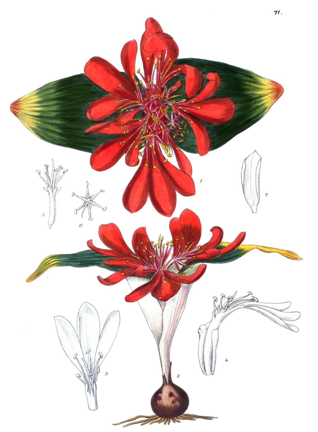 [Image unavailable.]