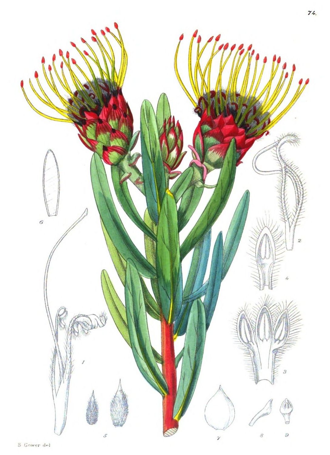 [Image unavailable.]