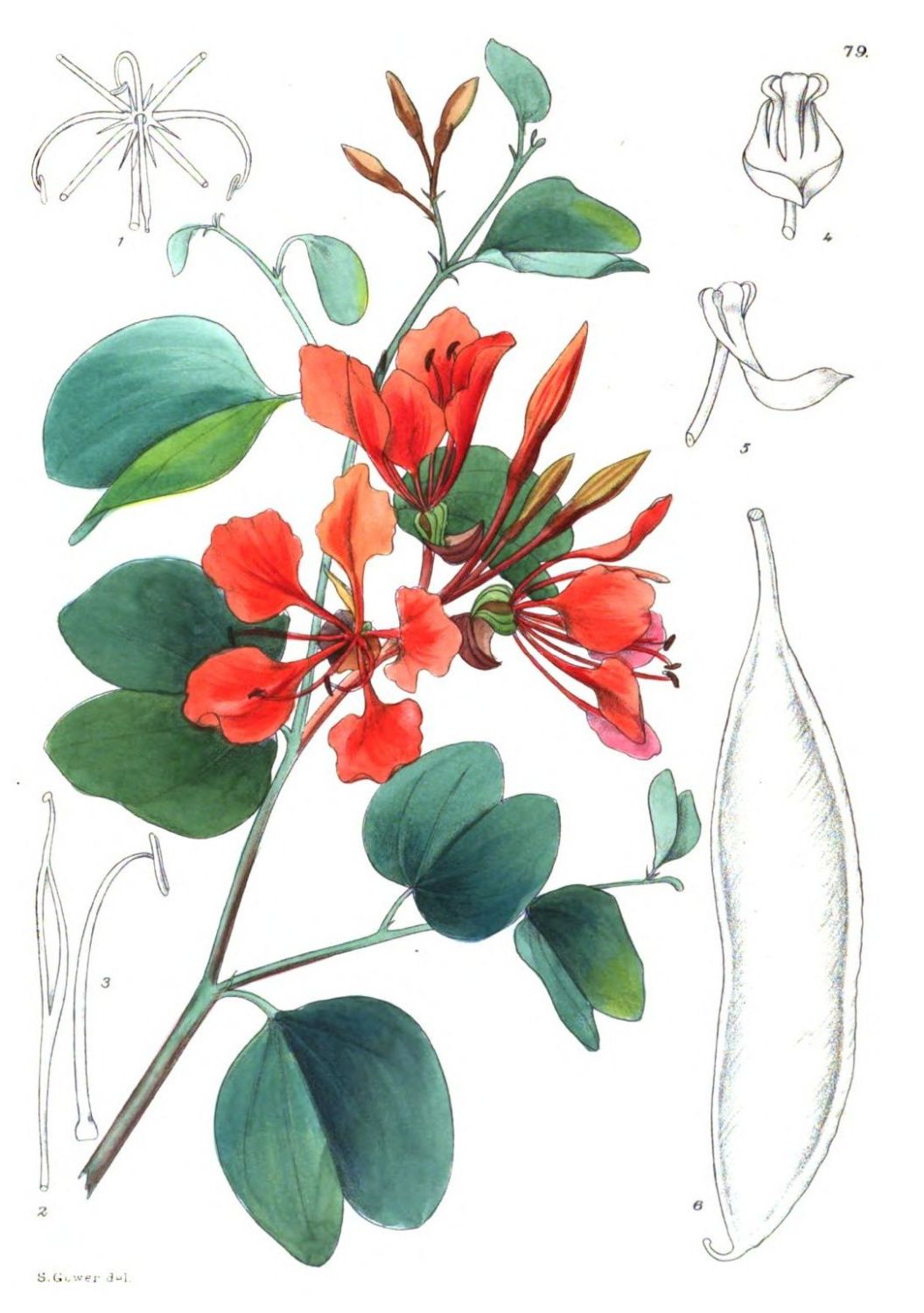 [Image unavailable.]