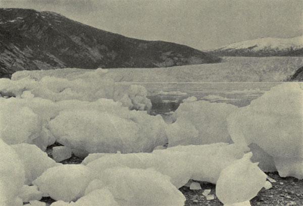Stranded
Icebergs, Taku Glacier