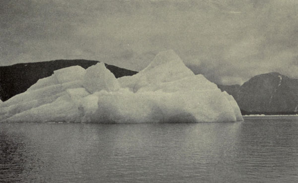 Floating
Iceberg, Taku Inlet
