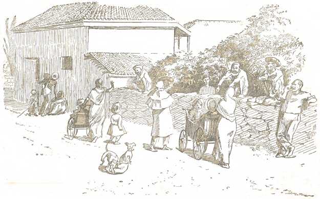 Frontispiece, “Behind the Bungalow”
