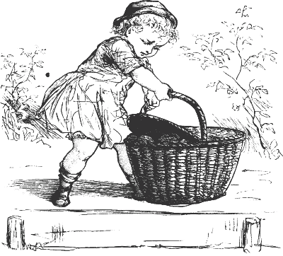 Albert and the basket.