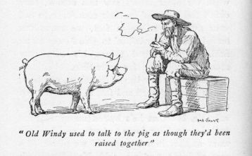 "Old Windy used to talk to the pig as though they'd been raised together"