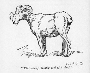 "That woolly, blaatin' fool of a sheep"