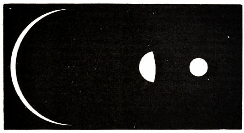 Fig. 44.—Different Aspects of Venus in the Telescope.