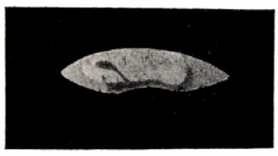 Fig. 54.—The Southern Polar Cap on Mars (July 1, 1894).