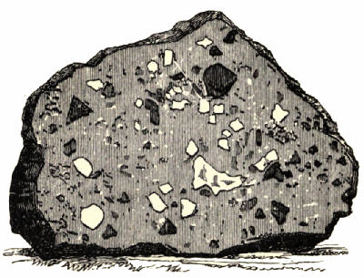 Fig. 79.—Section of the Chaco Meteorite.