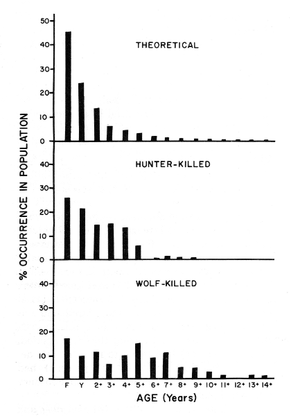 Figure 7.—Comparison between the age structures
of deer killed by wolves, deer killed by
hunters, and a theoretical population from the
same general area of northeastern Minnesota.