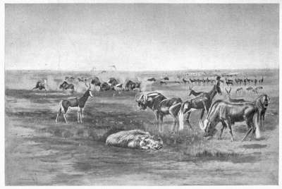 The Plains of the Orange Free State in 1871.
