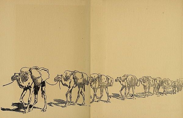 back facing pages, camels marching in a row