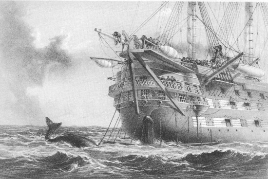 R. M. Bryson, lith from a drawing by R. Dudley

London, Day & Sons, Limited, Lith.

H.M.S. “AGAMEMNON” LAYING THE ATLANTIC TELEGRAPH CABLE IN 1858. A WHALE
CROSSES THE LINE.