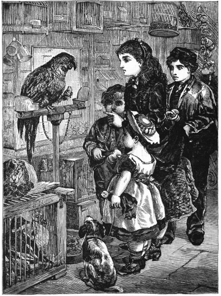 Children looking at large parrot