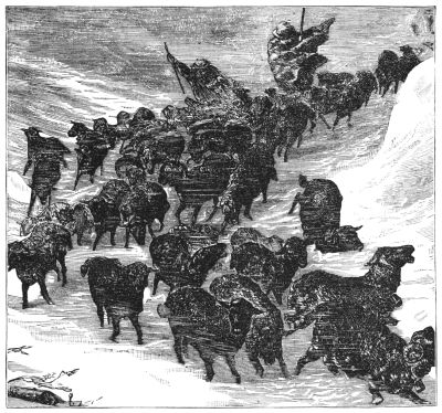 Sheep and shepherds in storm