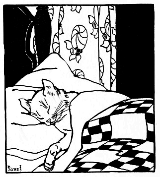 Cat in bed asleep, head on pillow under blanket