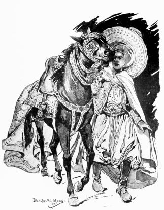 An Arab and His Horse in Gala Attire