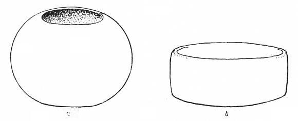 Fig. 71. Small pottery vases found in Mound No. 26.