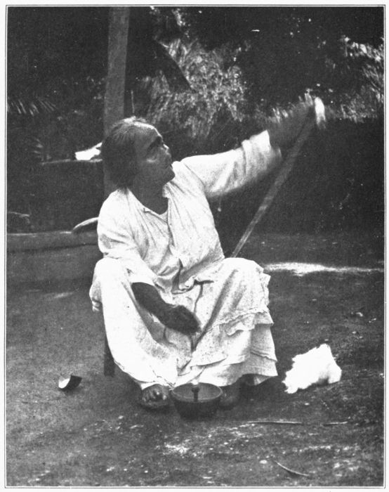 Plate 5. MAYA WOMAN, 105 YEARS OLD, SPINNING COTTON.