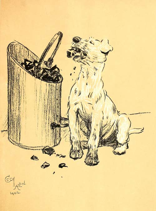 dog eating coal