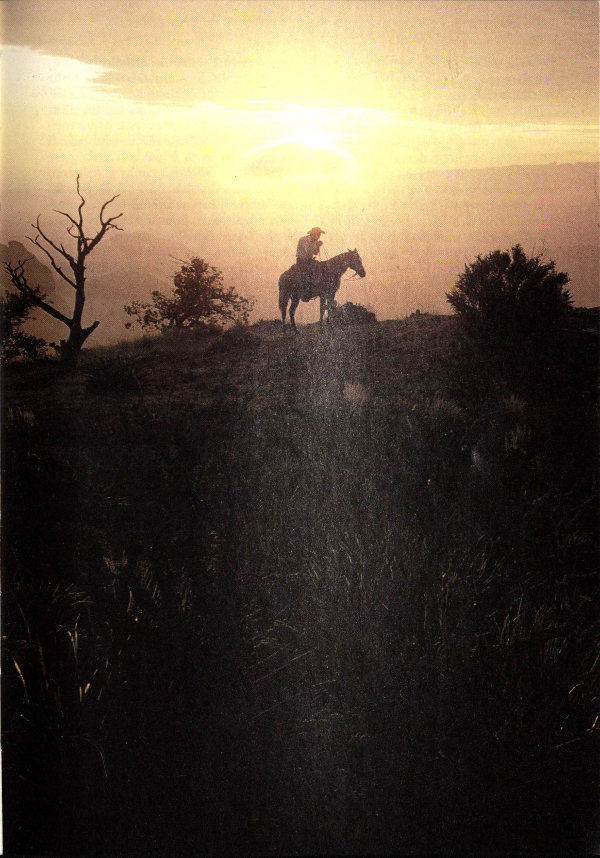 Horse and rider in the hills