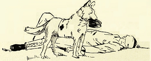 dog carrying supplies in mouth to wounded soldier