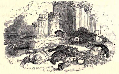 Jackals among ancient ruins