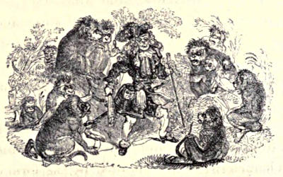 A man, dressed in the style of a Cavalier,
surrounded by a group of baboons. I have no idea what is going on here.