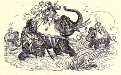 War-elephants in battle