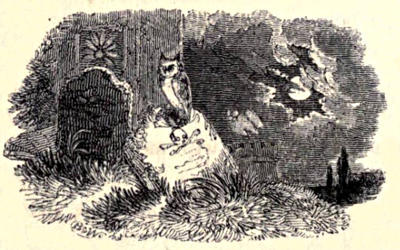 An owl on a leaning tombstone, in a graveyard, at night