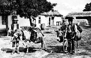 Rumnische Hausierer mit ihren Eseln