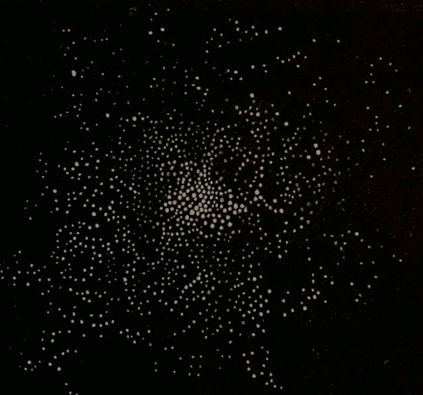 Aquarius Cluster
