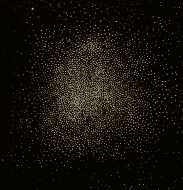 Centaur Cluster
