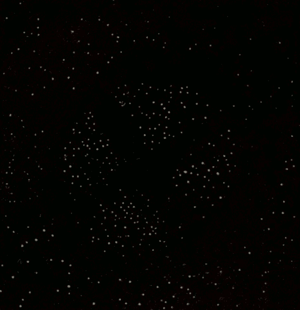 Scorpio Cluster