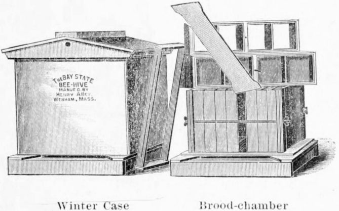 Winter Case Brood-chamber