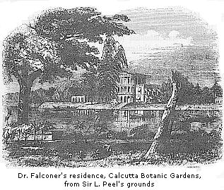 Dr. Falconer’s
residence, Calcutta Botanic Gardens, from Sir L. Peel’s grounds