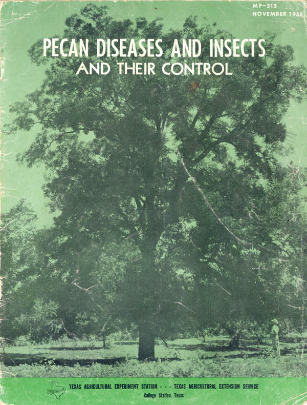 Pecan Diseases and Insects and Their Control