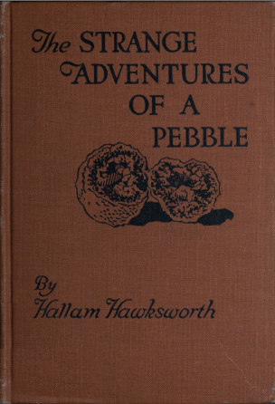 The Strange Adventures of a Pebble, by Hallam Hawksworth