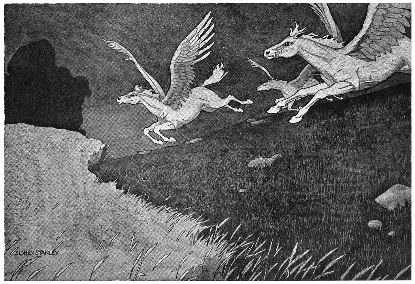 “Three winged horses came into the field.”