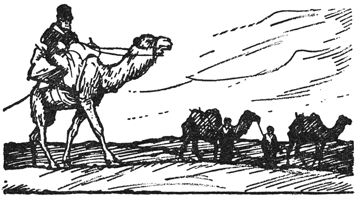 Karavaan met kameelen.
