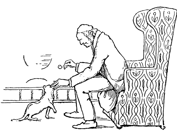Cat being fed by old man.