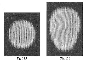 Fig.115. Round germinative area of
the rabbit. Fig. 116. Oval area, with the opaque whitish border of the dark
area without.